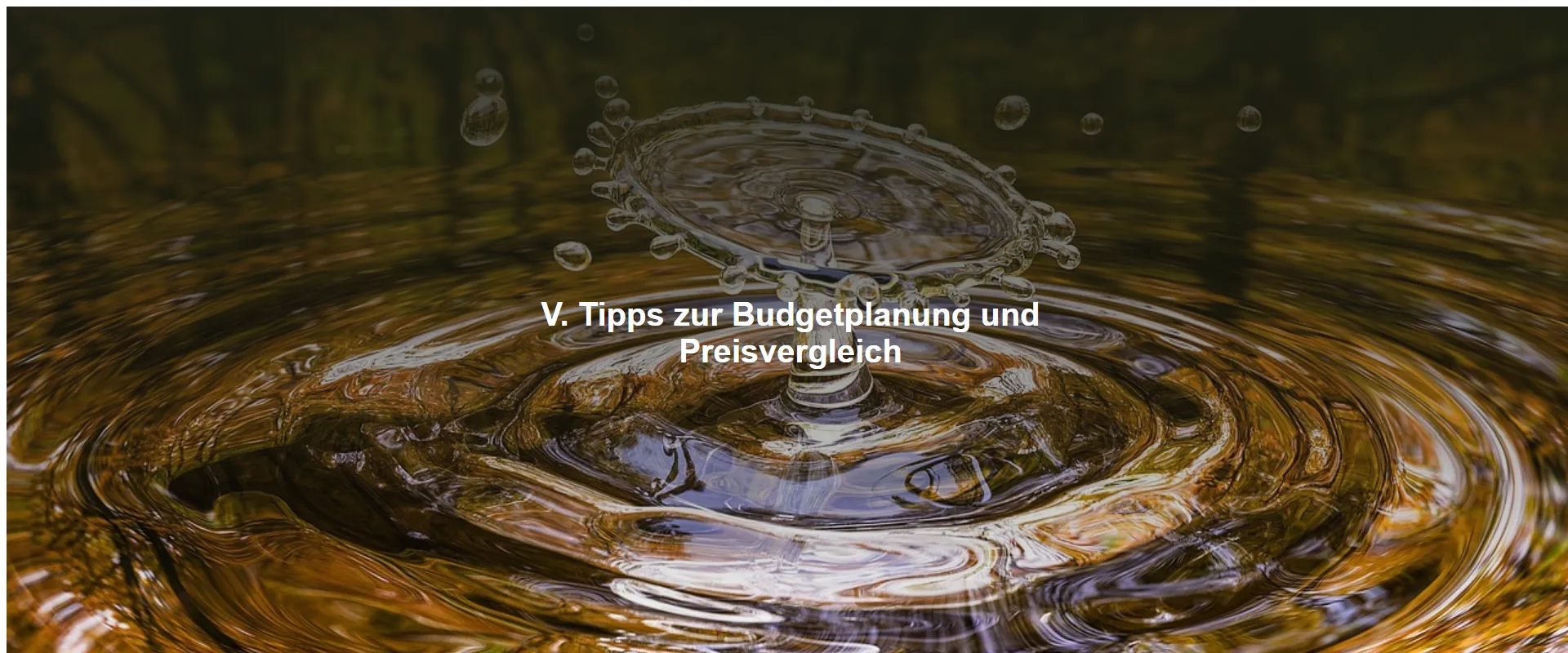 Tipps zur Budgetplanung und Preisvergleich