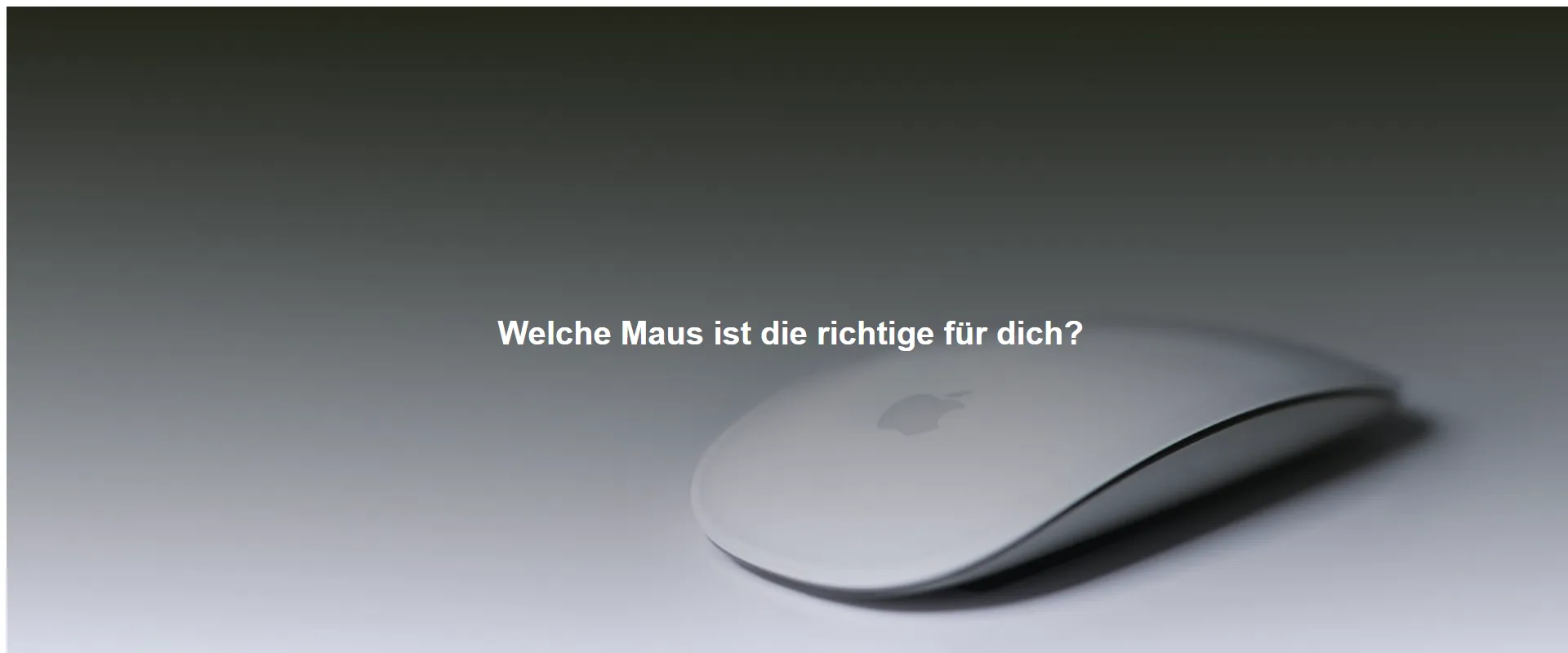 Welche Maus ist die richtige für dich?